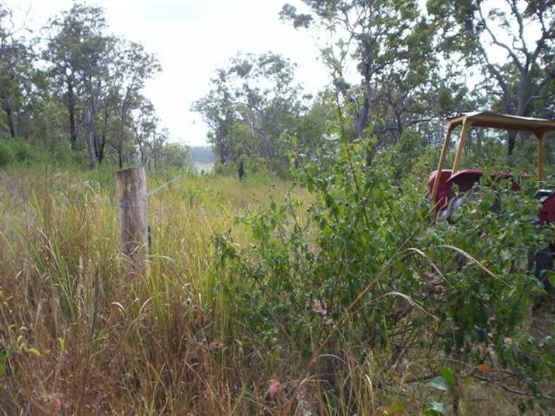Ingham QLD 4850