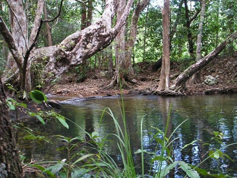 310 Mount Gardiner Road, Bemerside QLD 4850