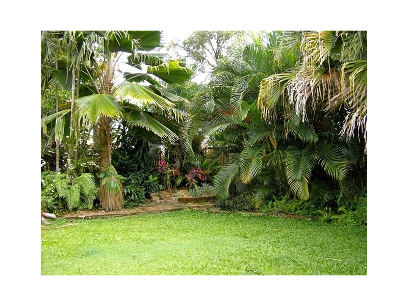 3 Whiting Street, Taylors Beach QLD 4850