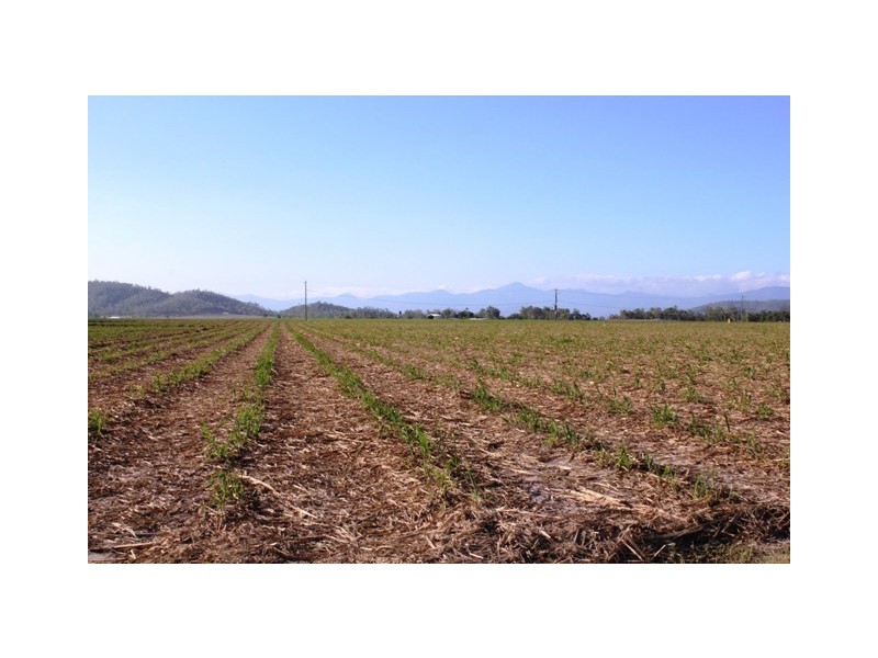 Long Pocket QLD 4850