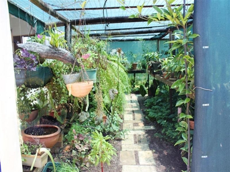 37 Allamanda Avenue, Forrest Beach QLD 4850