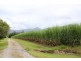 Abergowrie QLD 4850