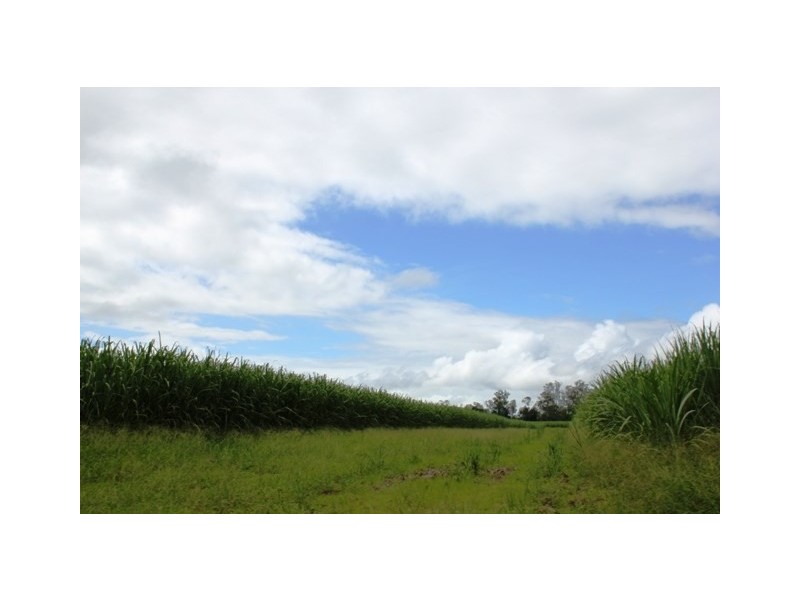 Abergowrie QLD 4850