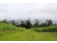Abergowrie QLD 4850