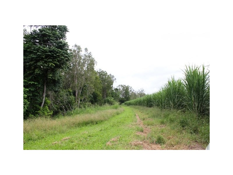 Abergowrie QLD 4850