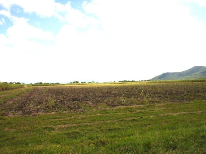 Ingham QLD 4850