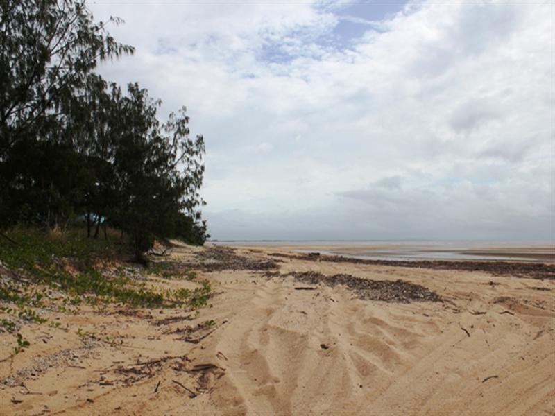 Ingham QLD 4850