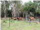 Ingham QLD 4850