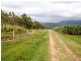 Ingham QLD 4850