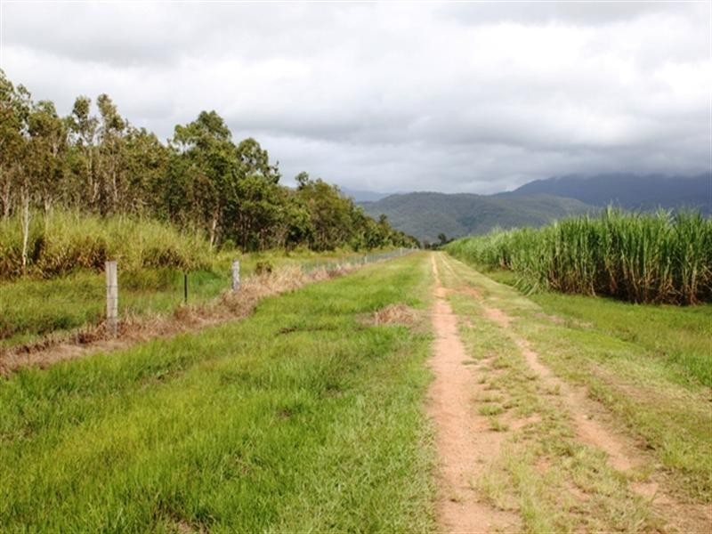 Ingham QLD 4850