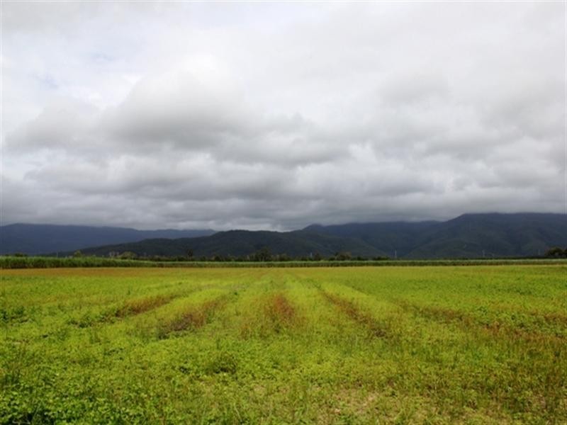 Ingham QLD 4850