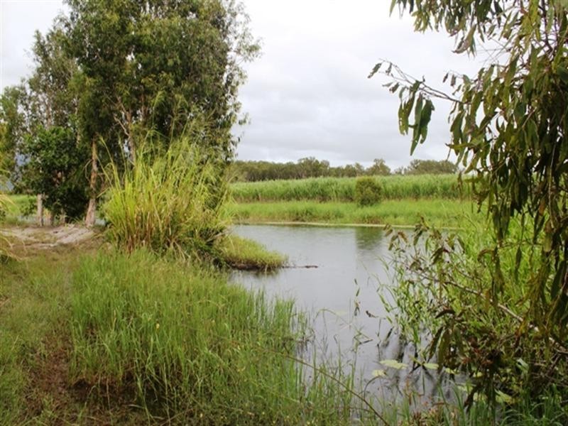 Ingham QLD 4850