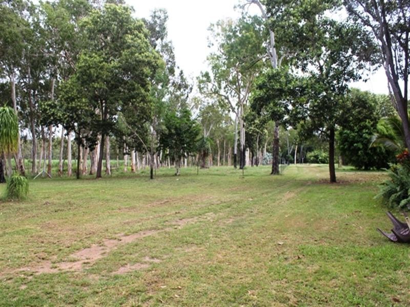 Ingham QLD 4850