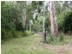 Ingham QLD 4850