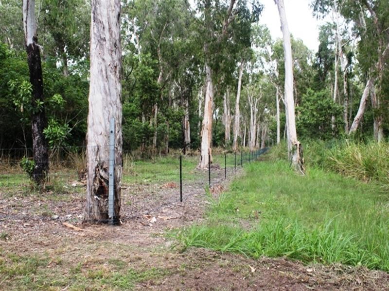 Ingham QLD 4850