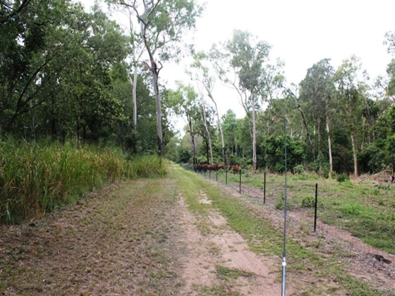 Ingham QLD 4850