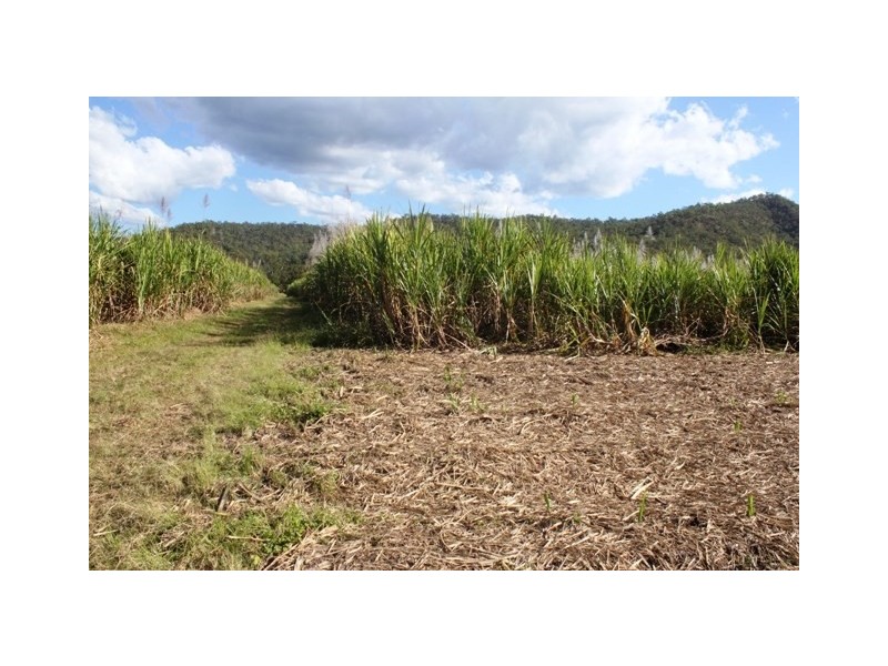 118 Harragon Road, Upper Stone QLD 4850