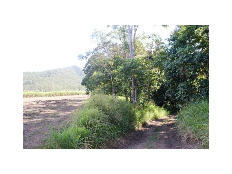 118 Harragon Road, Upper Stone QLD 4850