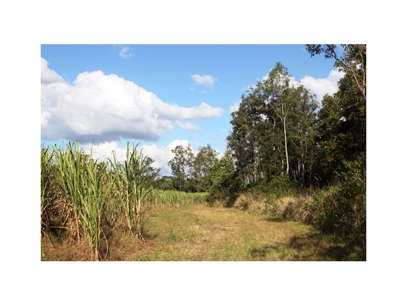 118 Harragon Road, Upper Stone QLD 4850