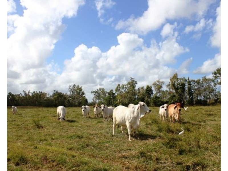 530 Pappins Road, Helens Hill QLD 4850