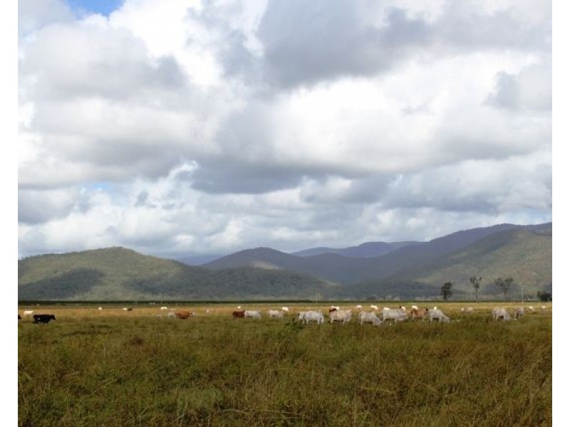 530 Pappins Road, Helens Hill QLD 4850