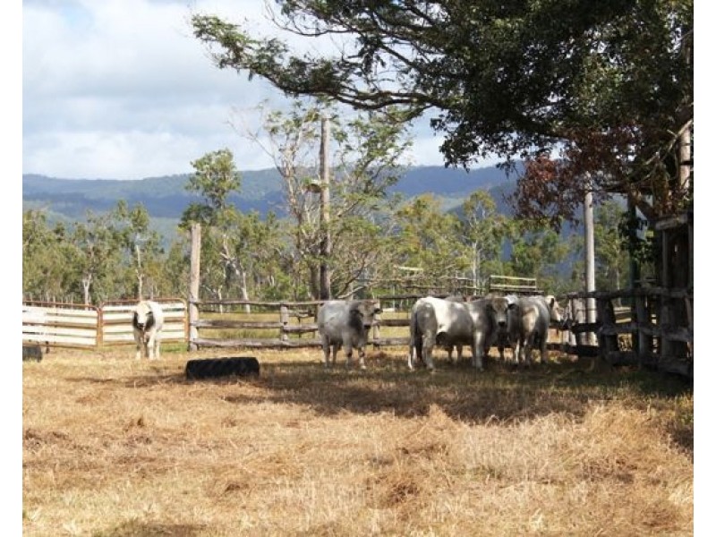 530 Pappins Road, Helens Hill QLD 4850