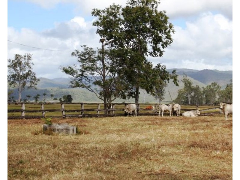 530 Pappins Road, Helens Hill QLD 4850