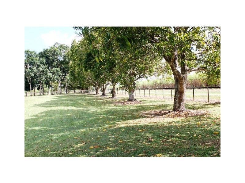 2350 Hawkins Creek Road, Dalrymple Creek QLD 4850