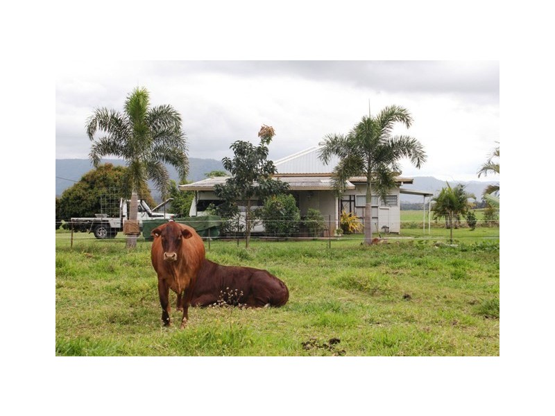 106 Cantamessas Road, Abergowrie QLD 4850