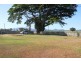 117 Sachs Lane, Ingham QLD 4850