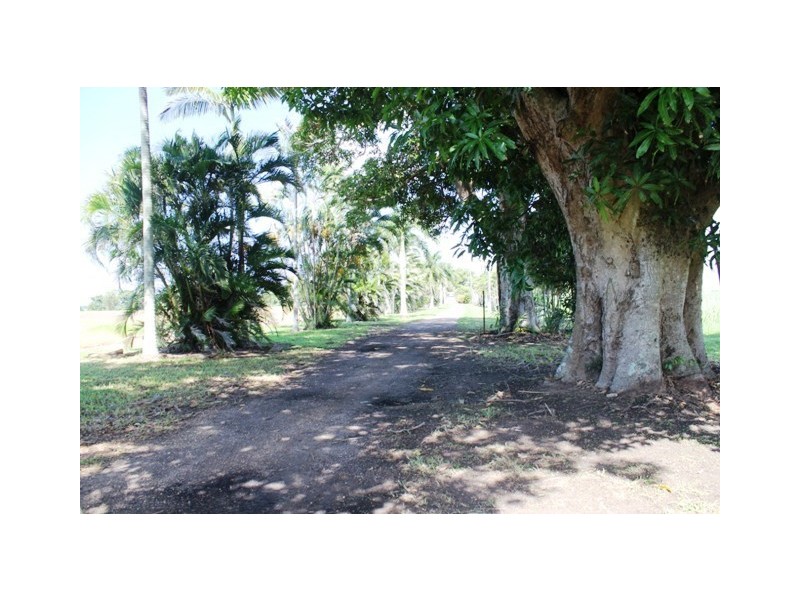 317 Danger Camp Road, Ingham QLD 4850