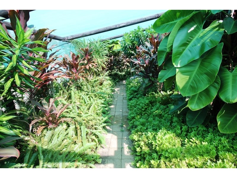 3 Coconut Street, Forrest Beach QLD 4850