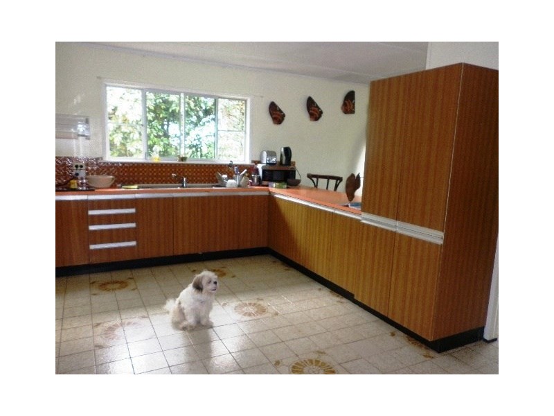 461 Bullock Paddock Road, Macknade QLD 4850