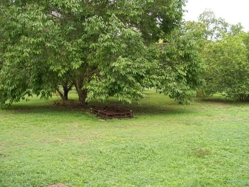 111 Exelbys Road, Upper Stone QLD 4850