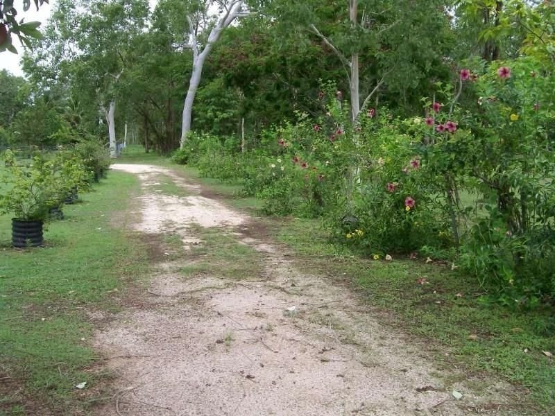 111 Exelbys Road, Upper Stone QLD 4850