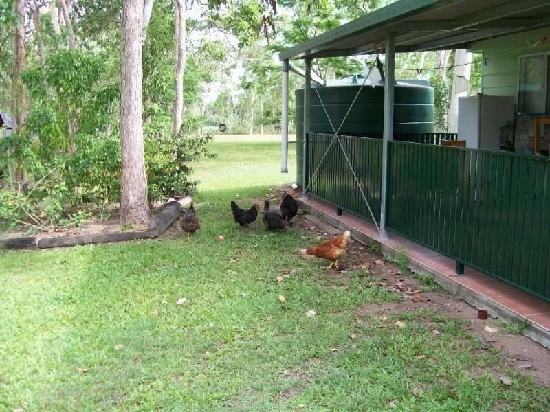 111 Exelbys Road, Upper Stone QLD 4850