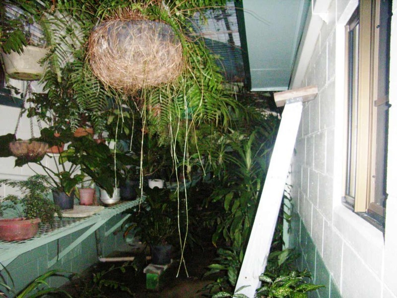 Forrest Beach QLD 4850