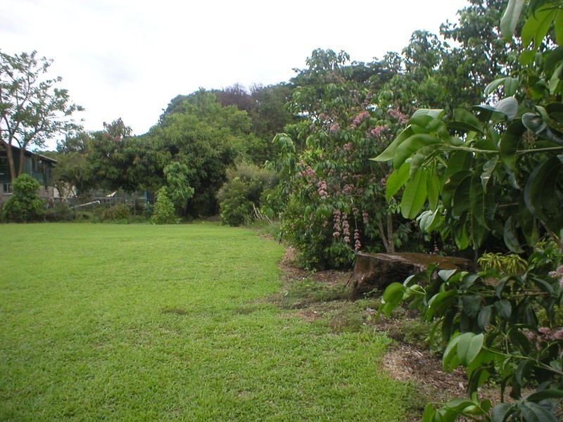 Macknade QLD 4850