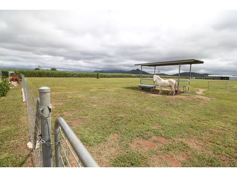Ingham QLD 4850