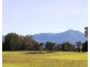 461 Bullock Paddock Road, Macknade QLD 4850