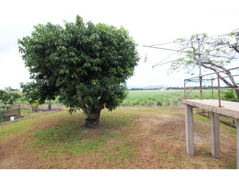 36 Fairford Road, Ingham QLD 4850