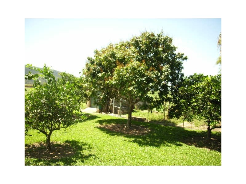 Hawkins Creek QLD 4850