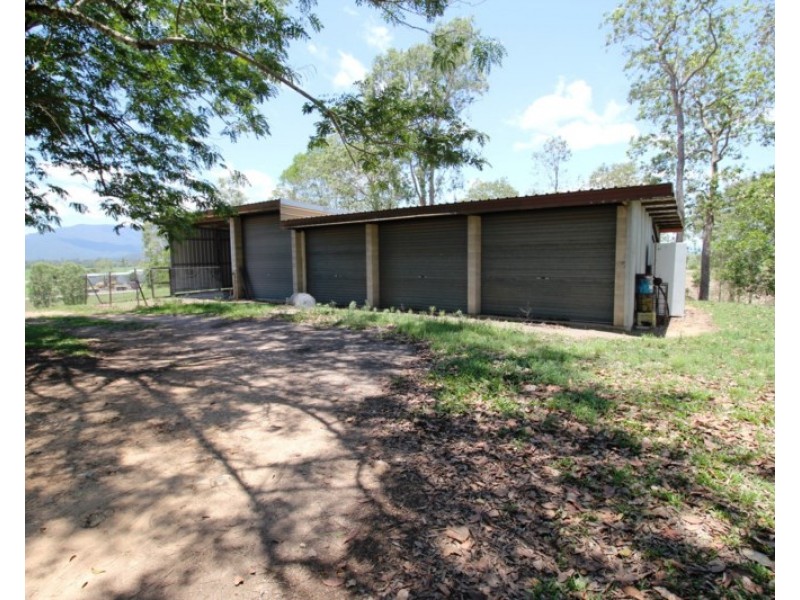 2319 Abergowrie Road, Long Pocket QLD 4850