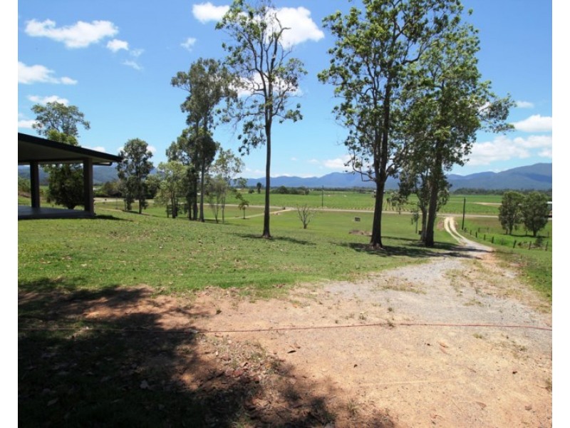 2319 Abergowrie Road, Long Pocket QLD 4850