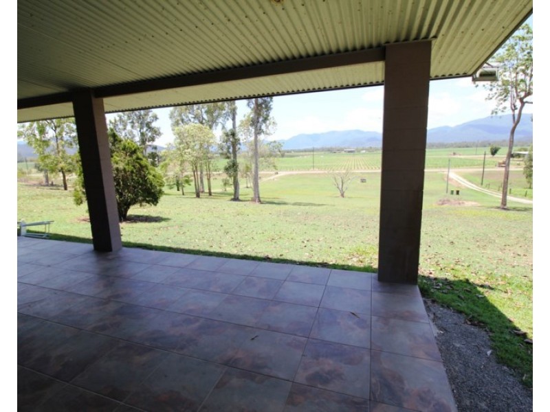 2319 Abergowrie Road, Long Pocket QLD 4850