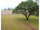 Ingham QLD 4850