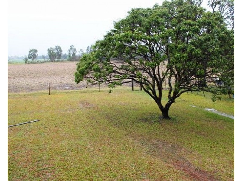 Ingham QLD 4850
