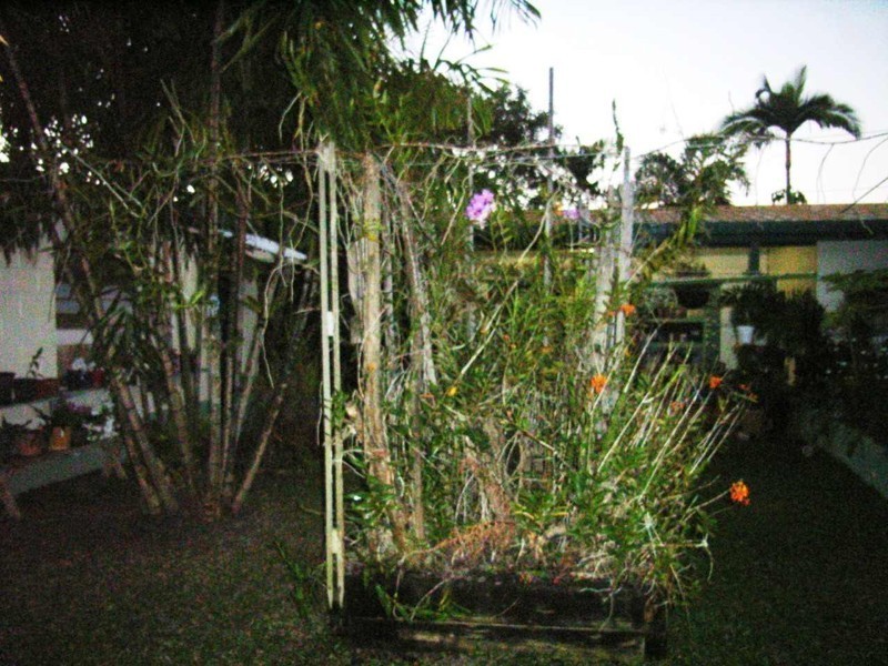 Forrest Beach QLD 4850