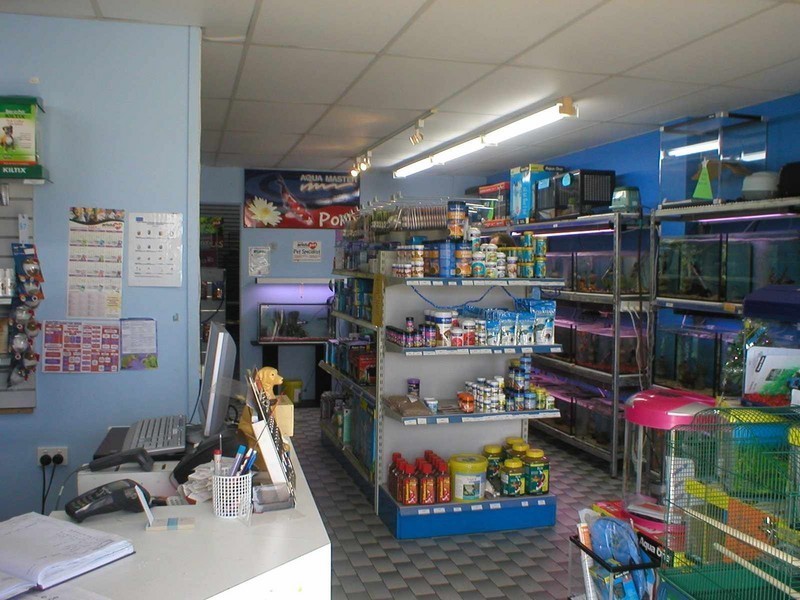 Ingham QLD 4850