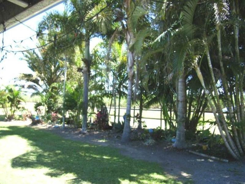 Ingham QLD 4850